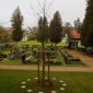 Maulbeerbaum mit Grabplatten