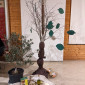 Ein gebastelter Olivenbaum, darunter ein Bodenbild.
